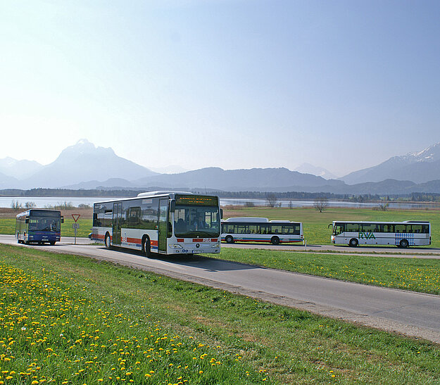 Auf der Bildmitte fährt ein Bus auf einer Straße, umgeben von Wiesen mit Löwenzahn. Im Hintergrund sind Berge und ein See zu sehen. Weitere Busse stehen an der Seite der Straße. Der Himmel ist klar und sonnig.