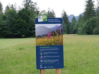 Ein Informationsschild in einer Wiese, das über die Lebensraumgestaltung informiert. Im Hintergrund sind Bäume und Berge sichtbar. Eine pinke Blume steht im Vordergrund des Schildes, das zudem Hinweise auf den Schutz der Natur enthält.