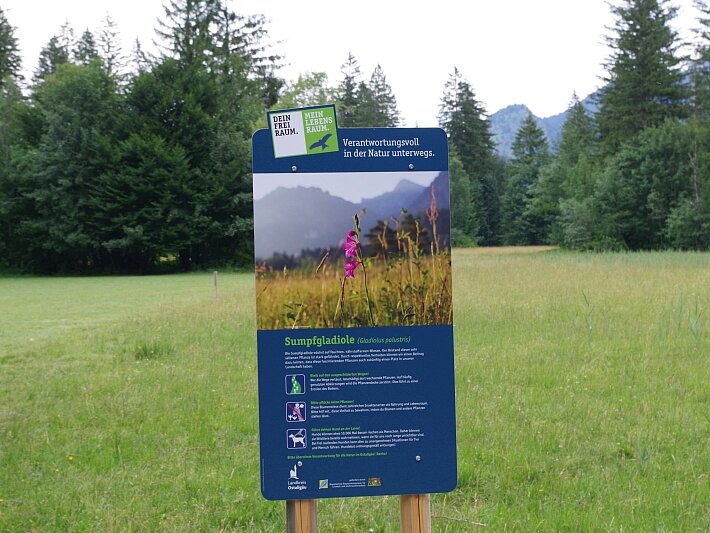 Ein Informationsschild in einer Wiese, das über die Lebensraumgestaltung informiert. Im Hintergrund sind Bäume und Berge sichtbar. Eine pinke Blume steht im Vordergrund des Schildes, das zudem Hinweise auf den Schutz der Natur enthält.