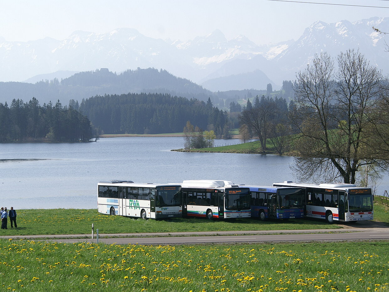 Fünf Busse stehen auf einer Wiese neben einem See, umgeben von Bergen und Wälder. Im Vordergrund sind zwei Personen zu sehen, die am Wasser stehen. Die Landschaft ist im Frühling, mit blühenden Löwenzahnpflanzen.