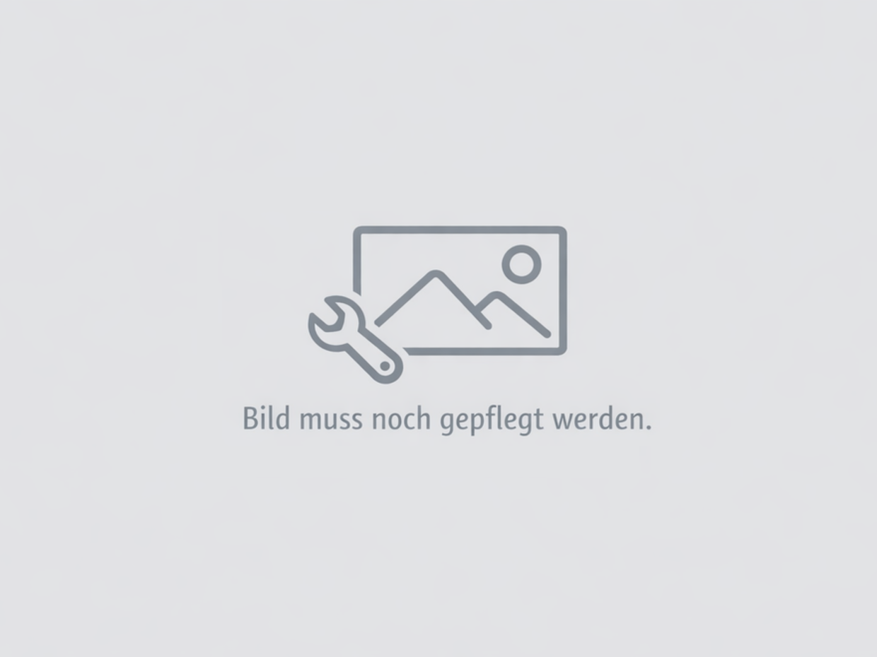Ein graues Icon zeigt eine Werkzeugschlüssel und eine einfache Darstellung eines Bildes mit Bergen und Sonne. Darunter steht der Text: "Bild muss noch gepflegt werden.
