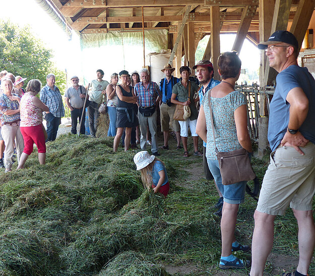 Eine Gruppe von Menschen steht in einem Bauernhof, einige unterhalten sich, andere schauen umher. Im Vordergrund ist ein Kind, das auf dem Boden sitzt und mit Gras arbeitet. Die Szenerie ist bunt und zeigt eine ländliche Umgebung.