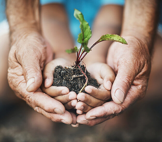 Zwei Hände, eine große und eine kleine, halten zusammen eine kleine Pflanze mit Erde. Die Szene symbolisiert Fürsorge und das Wachstum zwischen Generationen.