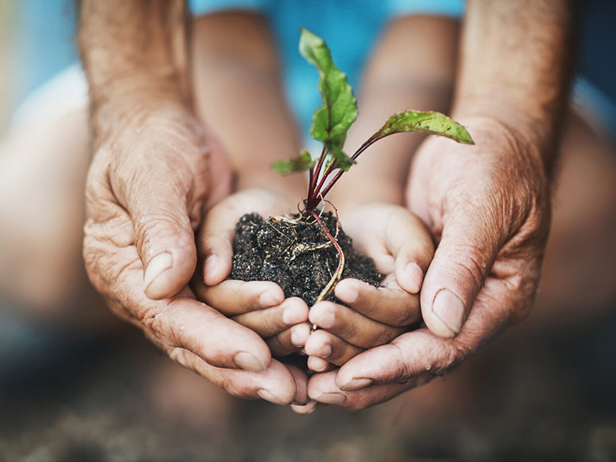 Zwei Hände, eine große und eine kleine, halten zusammen eine kleine Pflanze mit Erde. Die Szene symbolisiert Fürsorge und das Wachstum zwischen Generationen.