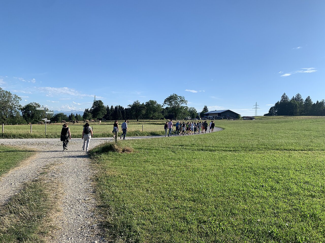 Eine Gruppe von Menschen wandert auf einem Schotterweg durch ein weites, grünes Feld unter blauem Himmel. Im Hintergrund sind Bäume und Gebäude zu sehen.