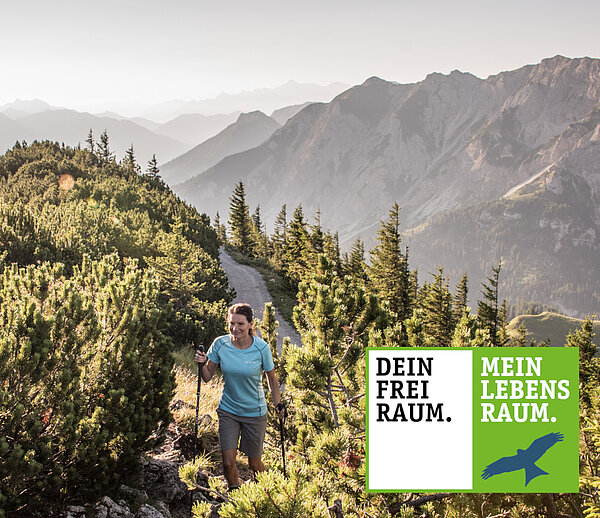 © Tourismusverband Ostallgäu e.V. / Christian Greither Eine Person wandert auf einem schmalen Pfad durch eine bewaldete Berglandschaft. Im Hintergrund sind hohe Berge und eine verschwommene Landschaft zu sehen. Unten links befindet sich ein Logo mit den Texten "DEIN FREI RAUM." und "MEIN LEBENS RAUM.