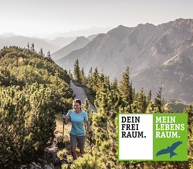 Eine Person wandert auf einem schmalen Pfad durch eine bewaldete Berglandschaft. Im Hintergrund sind hohe Berge und eine verschwommene Landschaft zu sehen. Unten links befindet sich ein Logo mit den Texten "DEIN FREI RAUM." und "MEIN LEBENS RAUM.